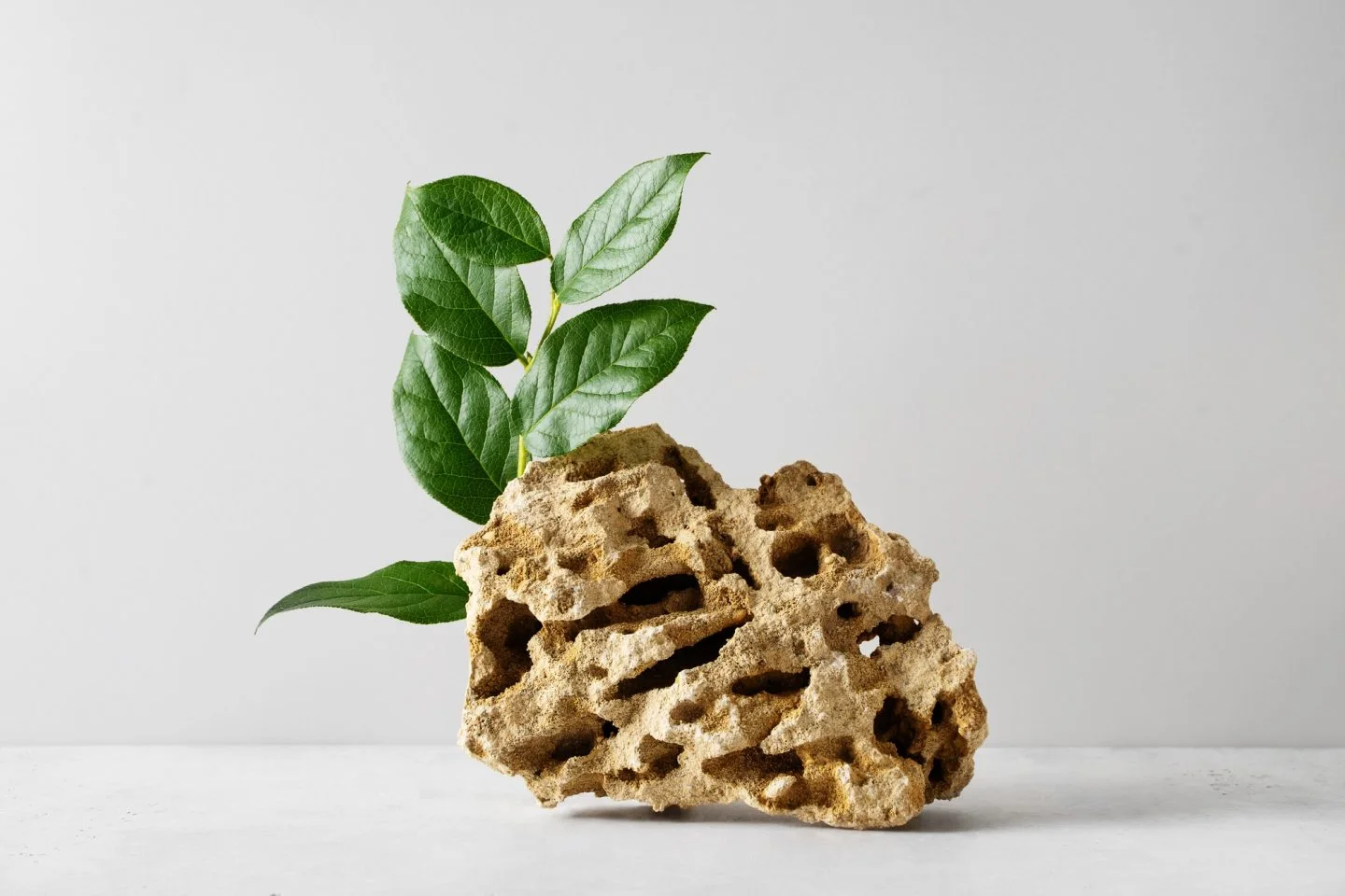stone podium mock up with fresh greenleaves mock up for product cosmetic